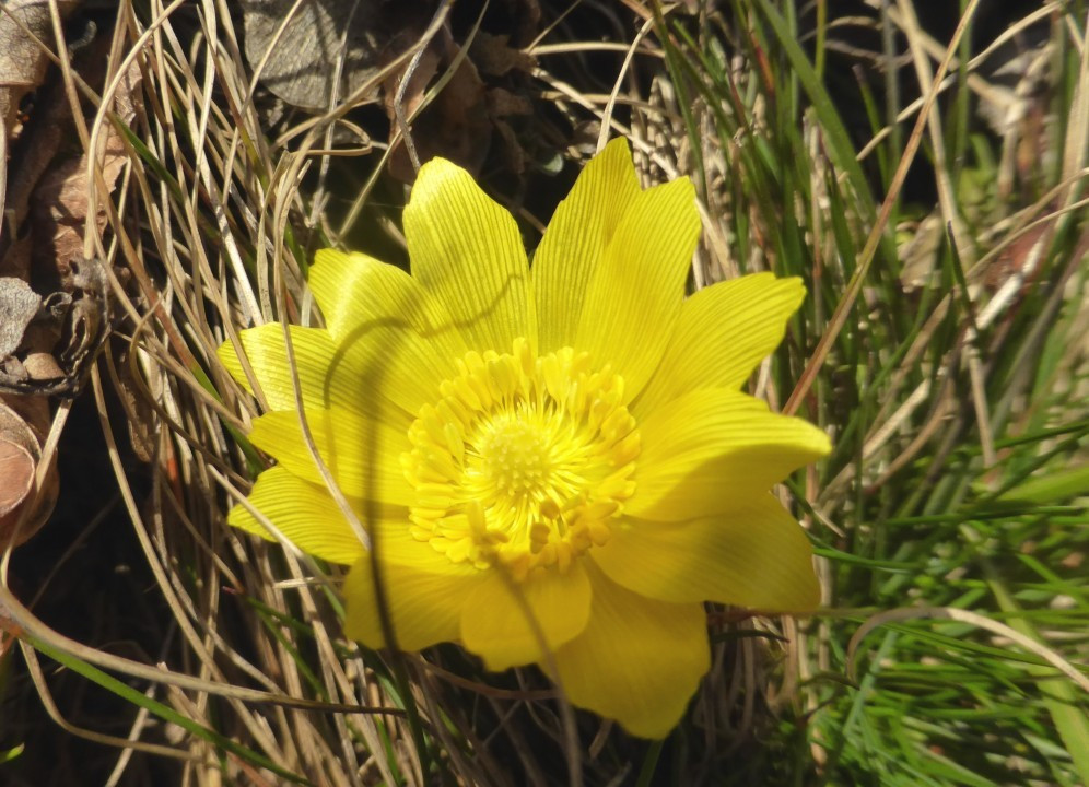 Eichkogel 03-21