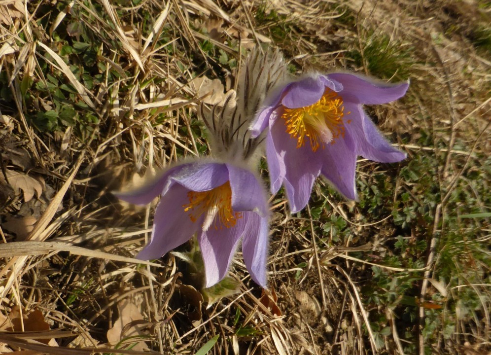 Eichkogel 03-21