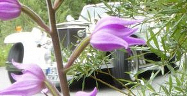 ?random=0&maxWidth=0&embedded=0#imageAnker_47149