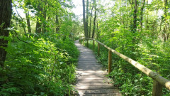 Müritz, Radroute Kesselmoor