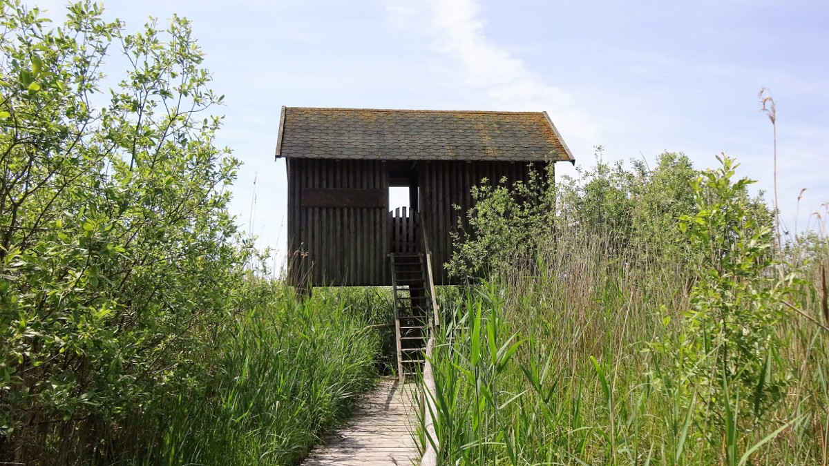 Müritz, Radroute Kesselmoor