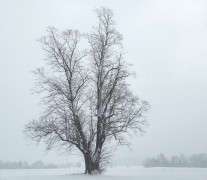 19.3.21