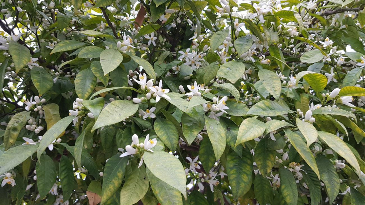 Frühling 21_02
