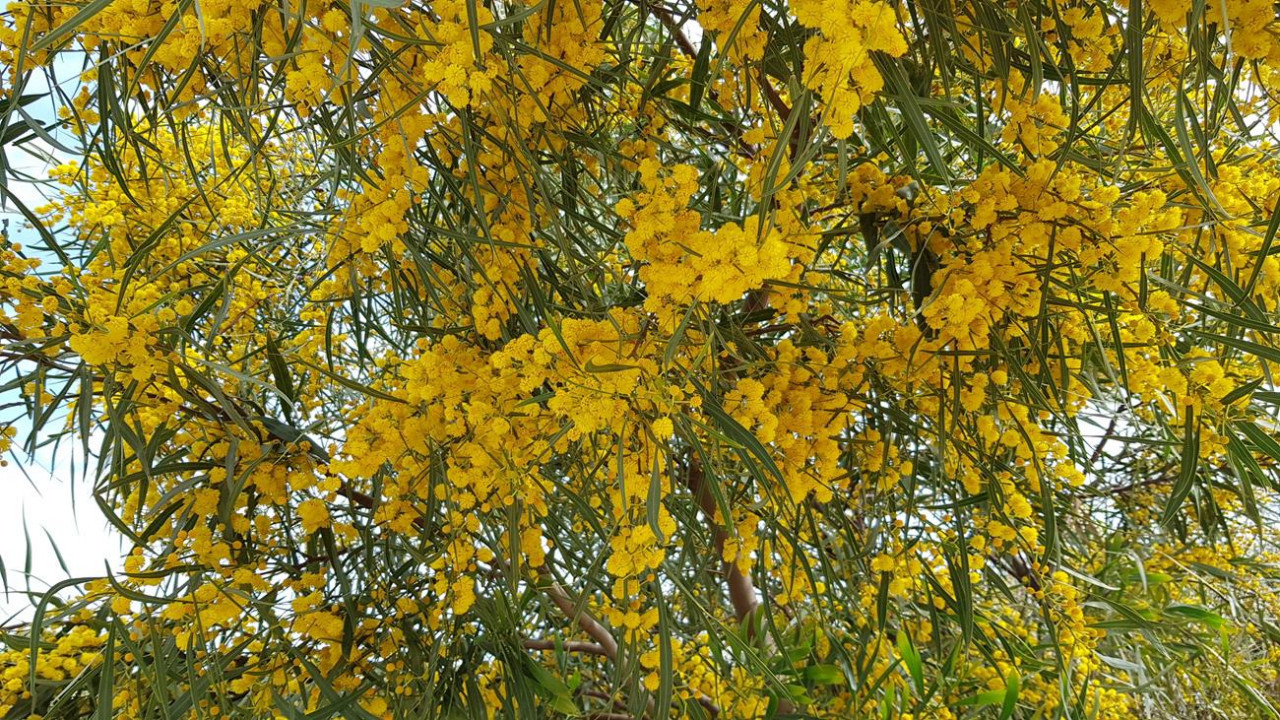 Frühling 21_08