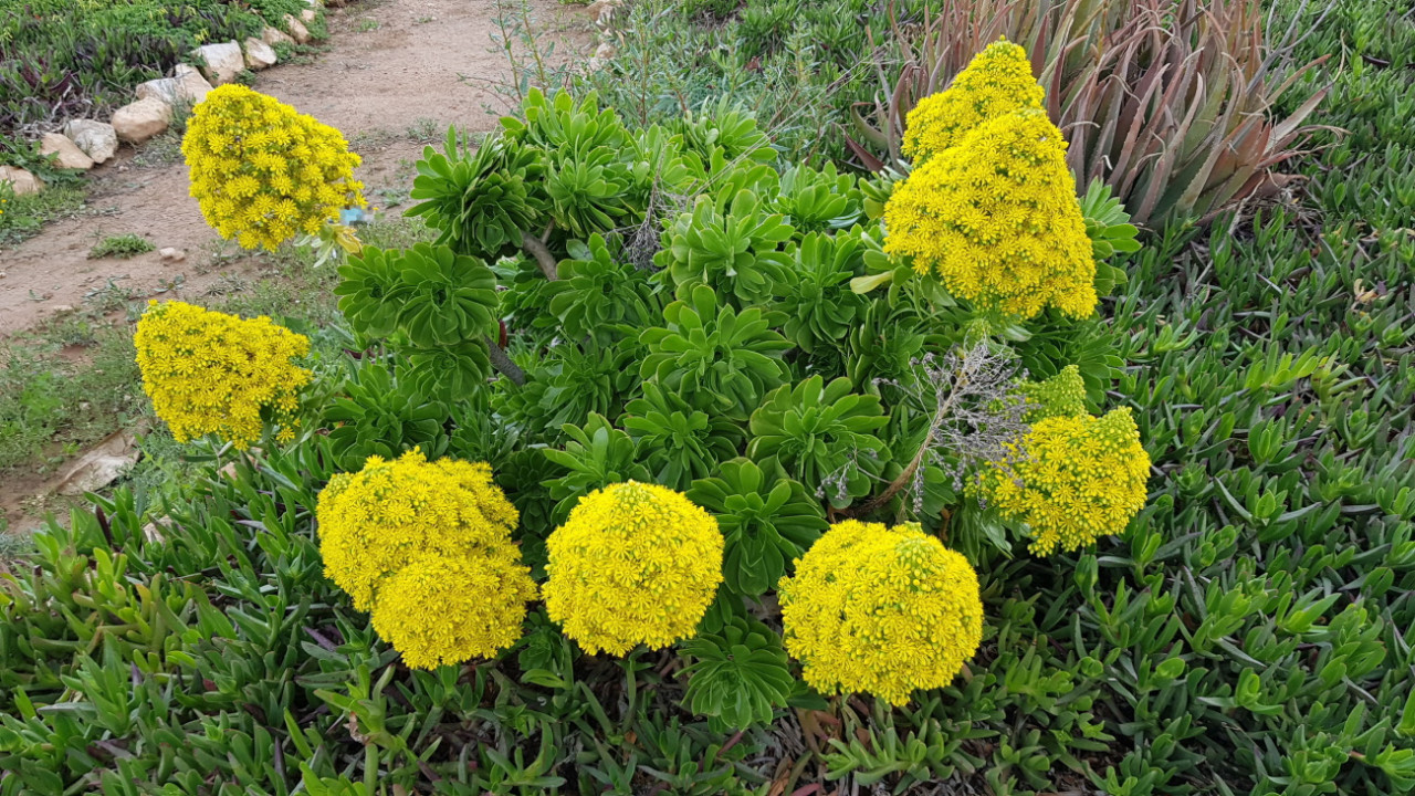 Frühling 21_10