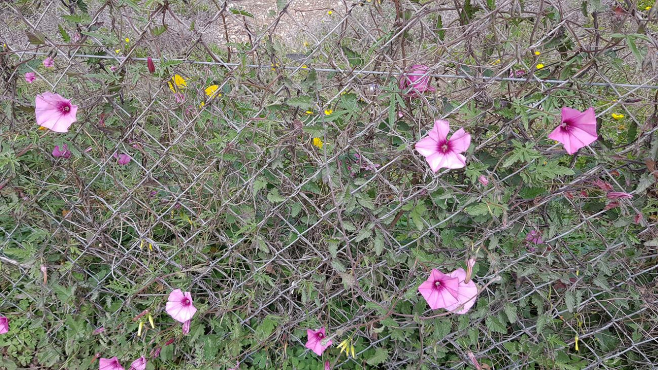 Frühling 21_15