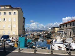 Muggia