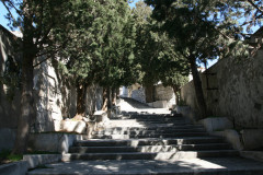 SIBENIK 048