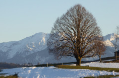 Irschenberg 24.3,21