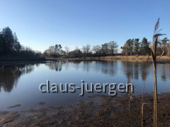 Schnerzhofer Weiher