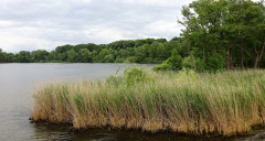 Müritz, Rad und Schiff
