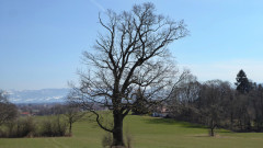 Kreuzweg , Weg der Sinne