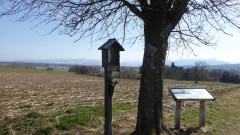 Kreuzweg , Weg der Sinne
