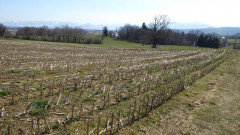 Kreuzweg , Weg der Sinne