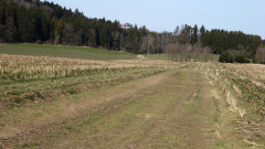 Kreuzweg , Weg der Sinne