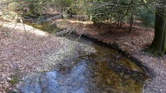 Kreuzweg , Weg der Sinne