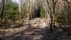 Kreuzweg , Weg der Sinne