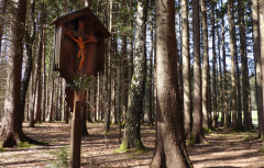 Kreuzweg , Weg der Sinne