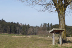 Kreuzweg , Weg der Sinne