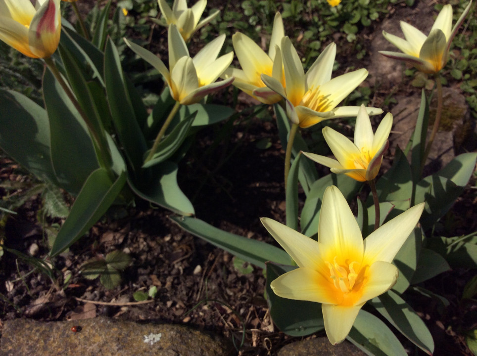 ?random=0&maxWidth=0&embedded=1#imageAnker_47577