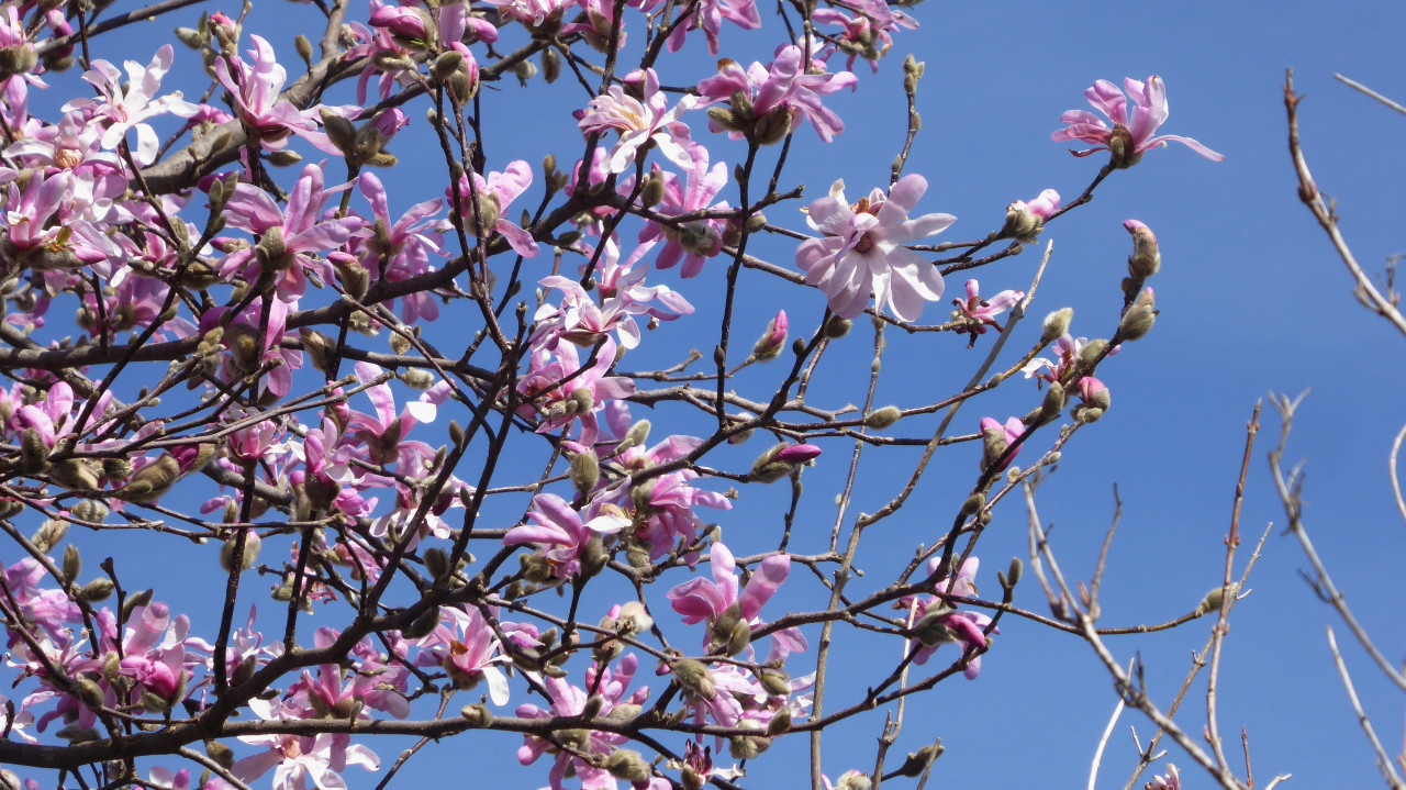 ?random=0&maxWidth=0&embedded=0#imageAnker_47720