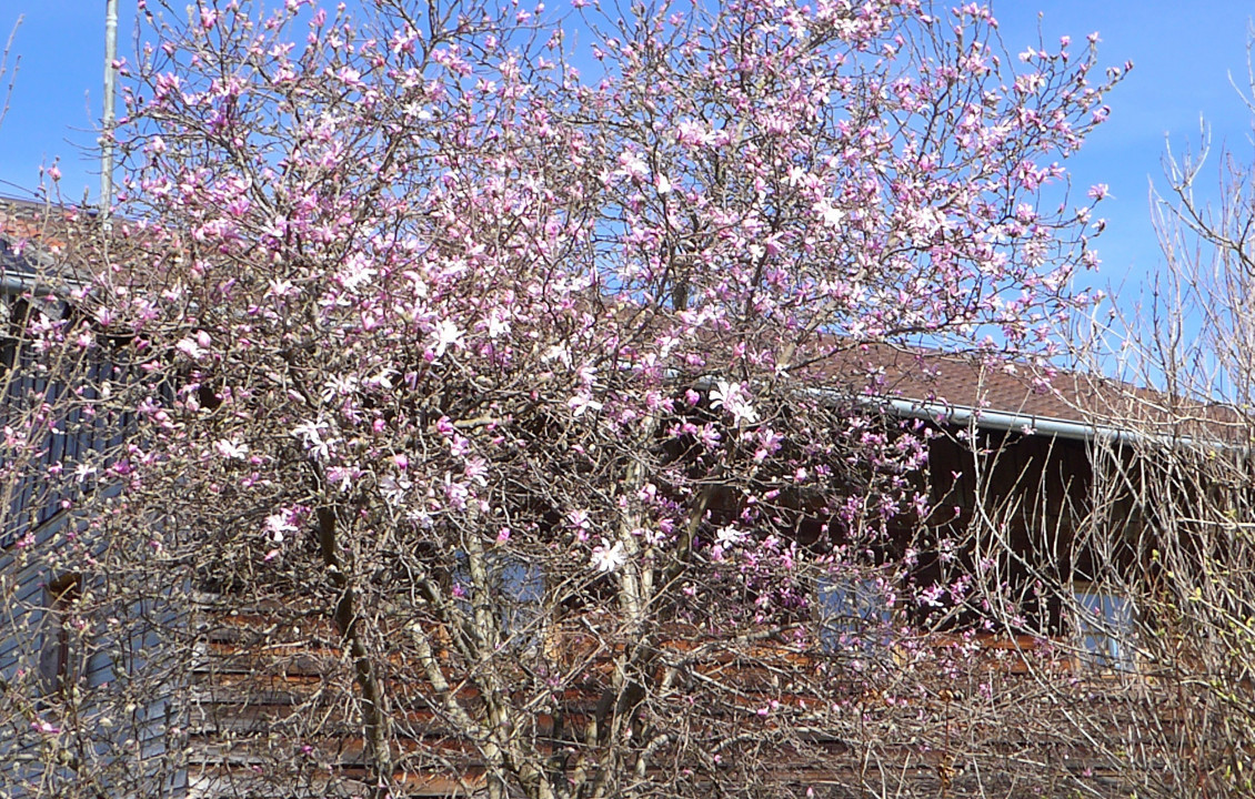 ?random=0&maxWidth=0&embedded=0#imageAnker_47721