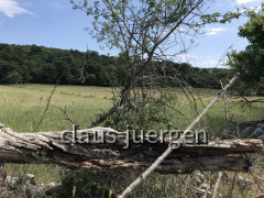 Wanderung Krnica