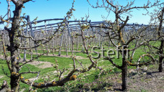 Ostern 2021  (2)