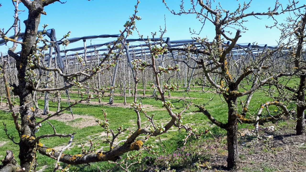 Ostern 2021  (2)