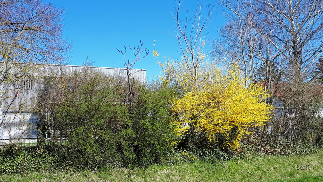 Ostern 2021  (4)