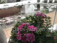 Sommer Winter