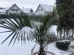 Sommer Winter