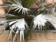 Sommer Winter