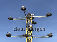 Störche Kirchheim