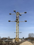 Störche Kirchheim