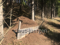 Stephansried Wanderung