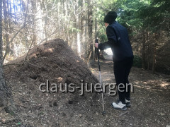 Stephansried Wanderung