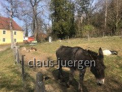 Stephansried Wanderung