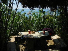 Safaribar