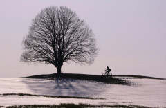 Testbild