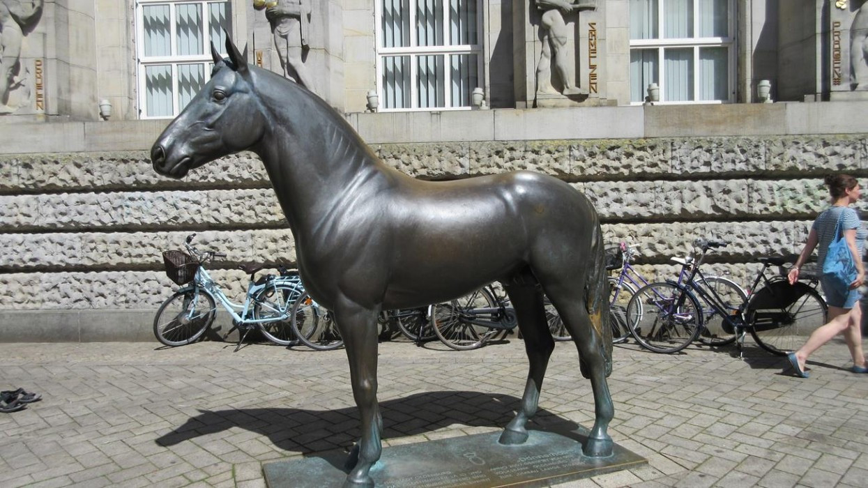 Oldenburg_41