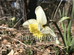 Wanderung Oberschönegg