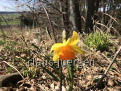 Wanderung Oberschönegg