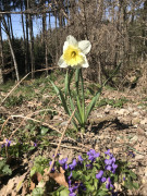 Wanderung Oberschönegg