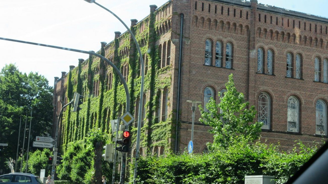 Oldenburg_51