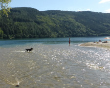Puzzle: Bachinsel - auch eine Insel