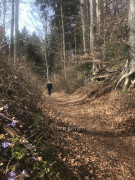 Aichstetten Nepomuk