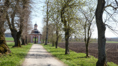 Stein an der Traun Nepomuk  (7)a