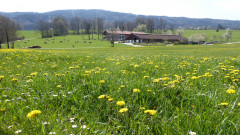 bei Bad Feilnbach