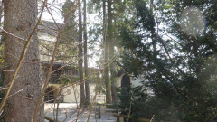 Birkenstein